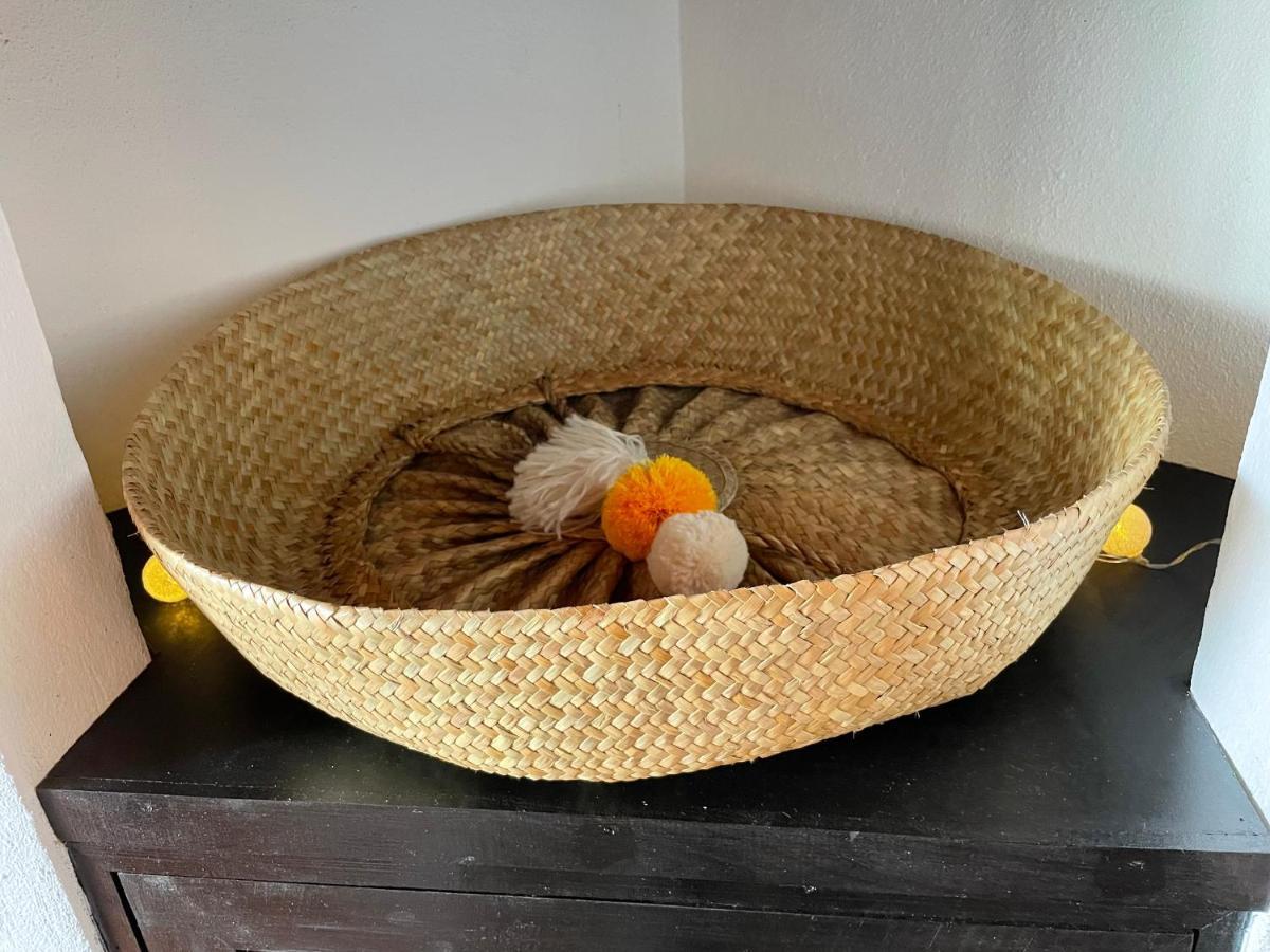 Cozy Beach House 圣卢西亚岛 外观 照片
